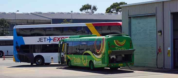 Adelaide Metro Designline Olympus 1904